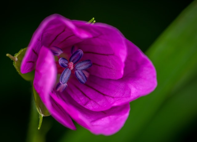 SEO Copywriting: cos’è e come funziona?